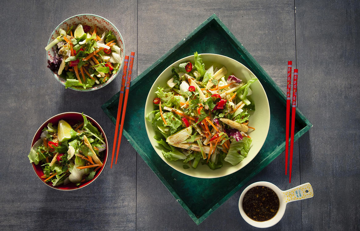 Asian Style Chicken Salad Recipe